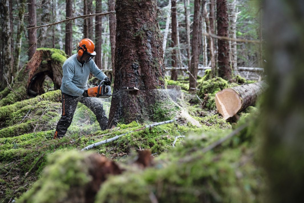 Pila Stihl MS 462 C-M